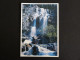 CANADA AVEC YT 1082 OURS BEAR - TANGLE FALLS - Cartas & Documentos