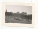 Photographie, Militaria, Militaires, Cavaliers, 100 X 70 Mm, 2 Scans - War, Military