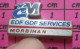 516c Pin's Pins / Beau Et Rare / EDF GDF / SERVICES MORBIHAN Par DECAT - EDF GDF