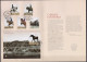 PORTUGAL - Le Cheval Lusitanien - Covers & Documents