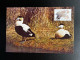 NETHERLANDS 1982 EIDER DUCK MAXIMUM CARD NEDERLAND BIRDS VOGELS - Cartes-Maximum (CM)