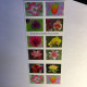 USA 2021 MiNr. 5791 - 5800 Plants, Flowers Garden Beauty 20v MNH** 26,00 € - Unused Stamps