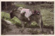 FÊTES ET VOEUX - Un Enfant Sur Le Dos D'un âne Avec Des Fleurs - Colorisé -  Carte Postale Ancienne - Autres & Non Classés