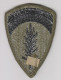 Patch Tissus: US ARMY Europe Subdued - Ecussons Tissu