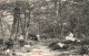 FRANCE - Brides Les Bains - Le Bois De Cylières  - Carte Postale Ancienne - Brides Les Bains