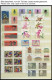 SAMMLUNGEN , Komplette Postfrische Teilsamnmlung DDR Von 1964-82 Sauber In 2 Einsteckbüchern, Prachterhaltung - Verzamelingen