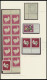 SAMMLUNGEN , 1954-70, Postfrische Sammlung Bundesrepublik Ab Mi.Nr. 197 Im SAFE Falzlosalbum, In Den Hauptnummern Komple - Other & Unclassified