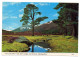 U-K--Aberdeenshire--1990--The Larig Ghru Track,Derry Lodge,near Braemar....beau Timbre,...cachet - Aberdeenshire