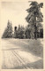 BELGIQUE - Waimes - Signal De Botrange Sous La Neige  - Carte Postale Ancienne - Weismes