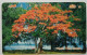 Northerm Marianas MT Card 10 - Flame Tree - Isole Marianne