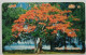 Northerm Marianas MT Card 10 - Flame Tree - Northern Mariana Islands