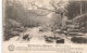 BELGIQUE - Vallée De La Hoëgne - Chêne Rustique - Carte Postale Ancienne - Pepinster