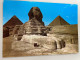 CPM - EGYPTE - GIZA - The Sphinx Of Sakkara - Sfinge