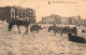 BELGIQUE - Flandre Occidentale - Blankenberge - Les ânes En Repos - Carte Postale Ancienne - Blankenberge