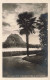 SUISSE - Lugano - Mte S Salvatore Visto Da Castagnola - Carte Postale Ancienne - Lugano