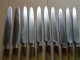 UNE SERIE   DE 10 COUTEAUX  ANCIENS - Spoons