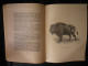 1939 Charlemagne à La Chasse Et Bison Par Georges Halleux Brochure Sans éditeur 15.5x21cm 20 Pages - Jacht/vissen