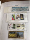 Delcampe - Europa Verzameling Van 1956 Tot 2001 - Collections