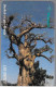 CARTE-SCHLUMBERGER-PUCE-SENEGAL-120U-SC7-SONATEL-BAOBAB Et PICS-BOEUFS-N° V°00846659-UTILISE-TBE-RARE- - Sénégal