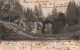 BELGIQUE -  Bruxelles - Le Ravin Du Bois De La Cambre - Le Pont Rustine - Carte Postale Ancienne - Marktpleinen, Pleinen