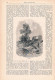 A102 1406 A. Römer Max Rabes Fayum Al-Fayyūm Ägypten Artikel / Bilder 1897 - Sonstige & Ohne Zuordnung