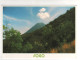 Beaux Timbres ,  Stamps  " Arbres " Sur CP , Carte , Postcard Du 10/05/2004 - Cap Vert