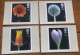 Flowers 1987 Great Britain FDC's Set Of 4 PHQ  Maximum Stamp Cards All With Different Special Postmarks - Carte Massime