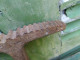 Delcampe - Outil Ancienne Enclume Bigorne Forgeron - Outils Anciens