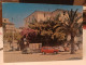 Cartolina Mammola Provincia Reggio Calabria ,piazza Ferrari, Palma, Auto ,a 112 , Fiat 500 - Reggio Calabria