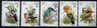 BIRDS / PROTECTED BIRD SPECIES / HOOPE / MAGYAR / 5 VFU STAMPS / 3 SCANS   . - Climbing Birds