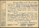 Berlin-Britz 1929 (Jan.) Amtl. Nothilfe-P. 8 Pf.: "Ich Bringe Glück" (Kind Mit Gold-Kleeblättern) Rs. Reklame-Zudruck: J - Chimie