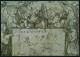 B.R.D. 1971 (30.8.) 20 Pf. Sonder-P "500. Geburtstag A. Dürer": Flügel Der Nebelkrähe (Mi.P 100/03) + Zusatzfrankatur 10 - Other & Unclassified