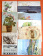 LOT 10 OLD GREETINGS POSTCARDS, ALL USED WITH STAMPS, EXCELLENT CONDITION - Sammlungen & Sammellose