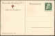 BAYERN 1913 PP 5 Pf. Luitpold, Grün: Bayer. Blumentag = Tbc-Spendenkarte (Mädchen Mit Blumenstrauß In Braun) Mit Tbc-Dop - Maladies