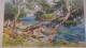 1927  CAP MARTIN ILLUSTRATEUR  AQUARELLE DE LESSIEUX GRAND CALENDRIER 35.5 / 48.5 CM - Grand Format : 1921-40