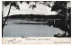 Post Card 1907 Sydney Australie Australia Fig Tree Point Lane Cover River Bruxelles Belgique Kerry & Co - Covers & Documents