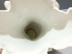 Delcampe - -SUPERBE GRAND VASE De MARIEE PORCELAINE De PARIS XIXe Décor Fleurs Peintes   E - Vazen