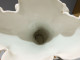Delcampe - -SUPERBE GRAND VASE De MARIEE PORCELAINE De PARIS XIXe Décor Fleurs Peintes   E - Vazen