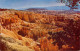 USA Bryce Canyon National Park UT General View - Zion