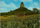 12-9-2023 (4 T 51) Australia - Harvesting Pineapples - Sunshine Coast