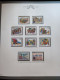 Delcampe - Collezione VATICANO 1978/2012 MNH ** Montata Su 2 Album (GBE E Marini), 99,9% Completa. - Collections (en Albums)