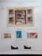 Delcampe - Collezione VATICANO 1978/2012 MNH ** Montata Su 2 Album (GBE E Marini), 99,9% Completa. - Collections (en Albums)