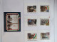 Delcampe - Collezione VATICANO 1978/2012 MNH ** Montata Su 2 Album (GBE E Marini), 99,9% Completa. - Collections (en Albums)