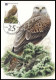 CM/MK° - 4030/4034(BL182) - 25ans De Timbres De Haut Vol / 25 Jaar Hoogvliegers In De Filatelie - BUZIN - 2001-2010