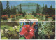 Botanischer Garten Berlin - Verlag Kunst Und Bild Berlin - Dahlem