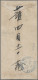 China - Shanghai: 1893, Surcharge Inverted: ½ C. On 5 C. Pink, A Horizontal Pair - Autres & Non Classés