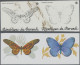 Thematics: Animals-butterflies: 1984, Burundi. Butterflies (Papilio Antimachus, - Papillons