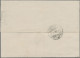 Denmark: 1878, 20ö. Carmine/grey, Single Franking On Lettersheet From Copenhagen - Covers & Documents