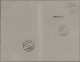 Liechtenstein - Stempel: 1921, Aushilfsstempel TRIESEN Type 1 LBK-Nr.2 Auf Rück- - Franking Machines (EMA)
