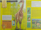 TOUT L'UNIVERS N° 84 RAMEAU LA GIRAFE LES CEVENNES CICERON L'OCEANIE CERISES ET CERISIERS - Encyclopaedia